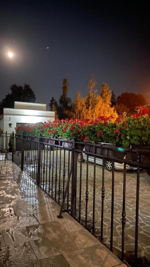 Hotel White House Făgăraş Exterior foto